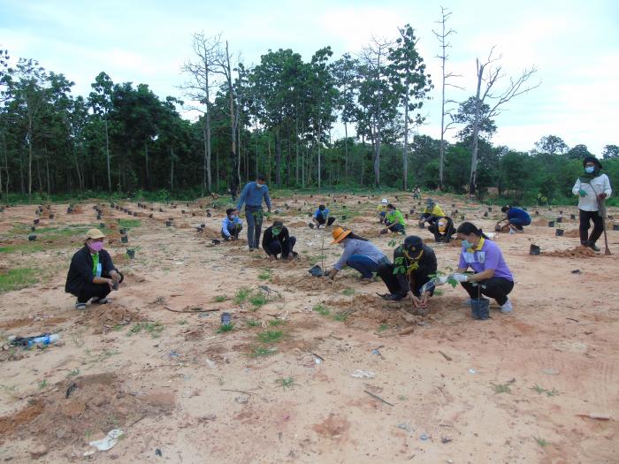 เข้าร่วมโครงการปลูกป่ากับเทศบาลตำบลนาเชือก